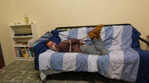 boundguys.com - Hog Tied and Helpless thumbnail